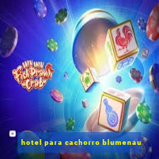 hotel para cachorro blumenau